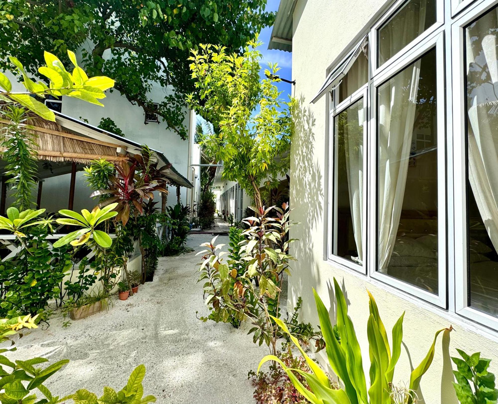 Three Hearts And 3* Fulhadhoo